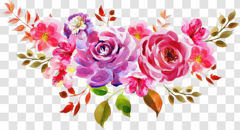 Garden Roses - Floral Design - Rose Family Transparent PNG