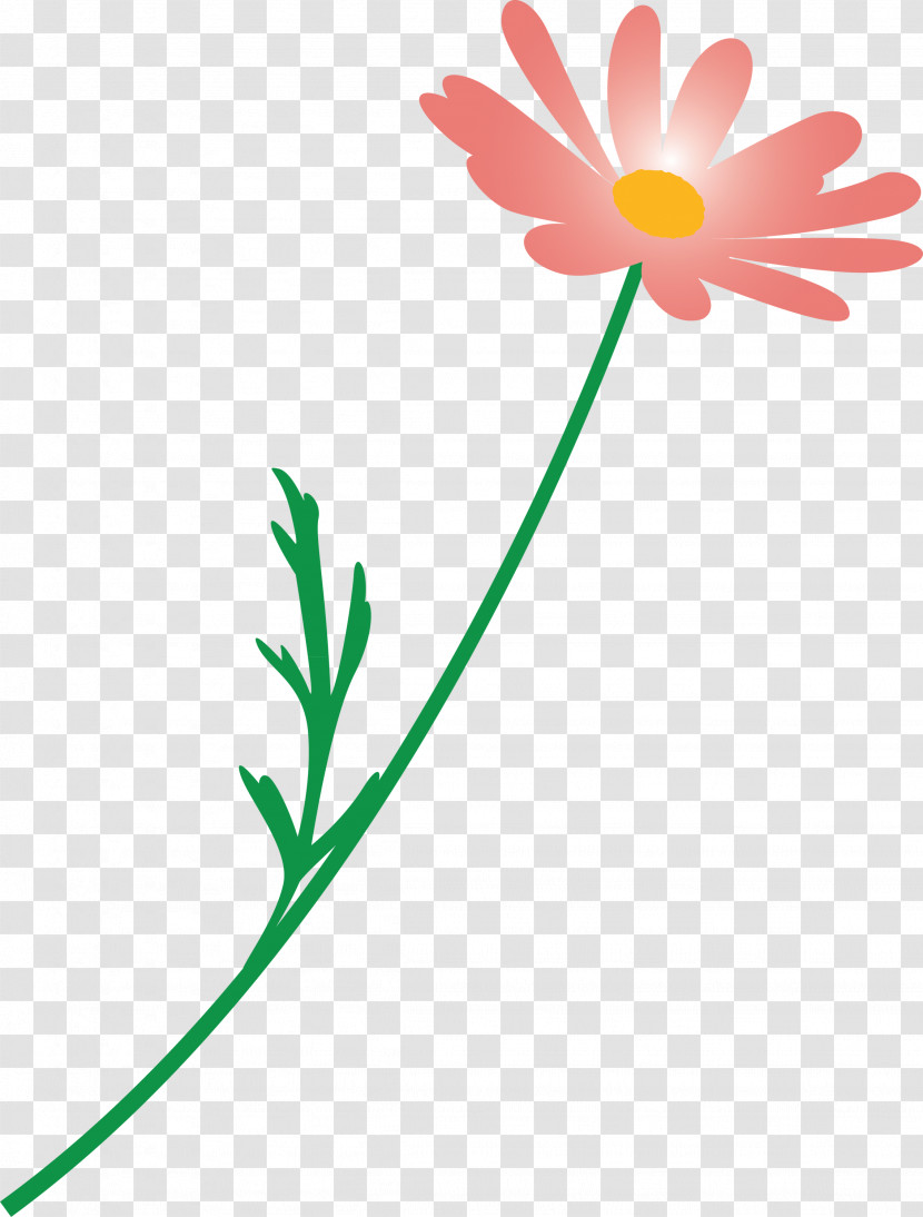 Marguerite Flower Spring Flower Transparent PNG