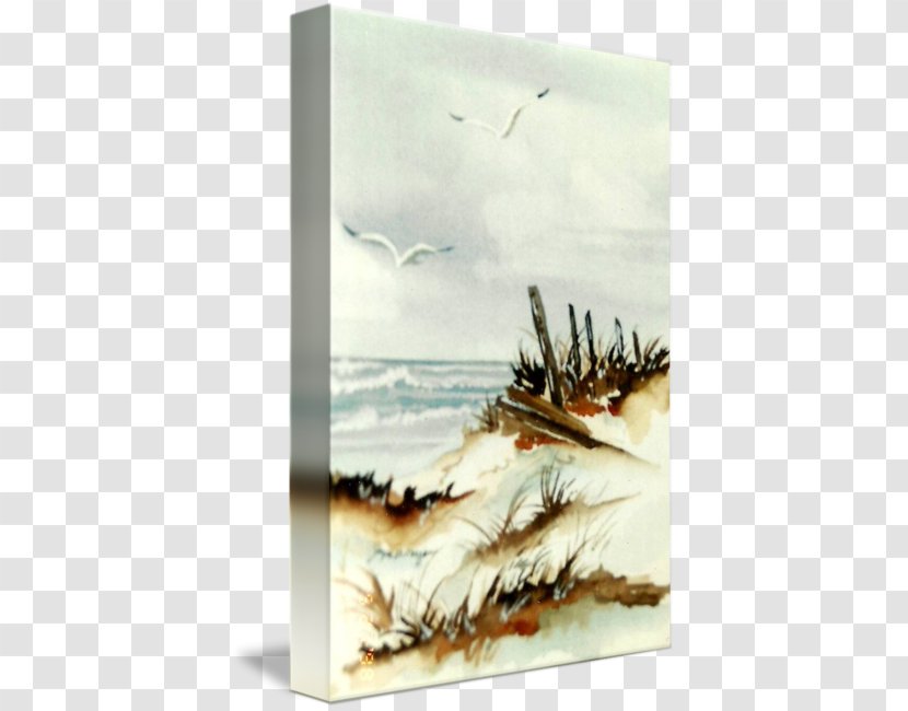 Watercolor Painting Seascape Wind Wave - Sand - Dunes Transparent PNG