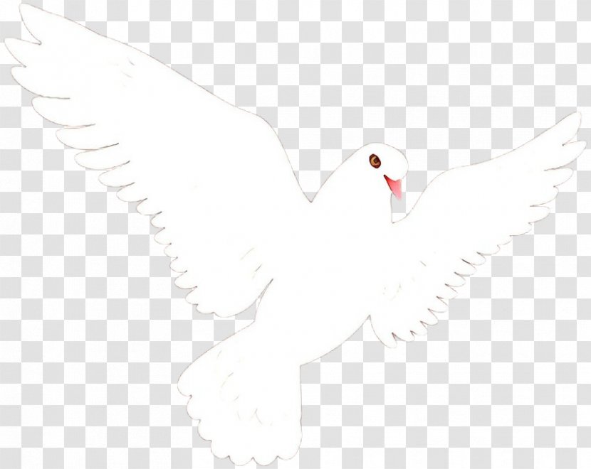 Bird Line Drawing - Art - Tail Wing Transparent PNG