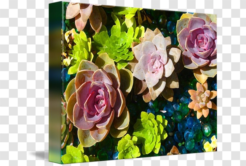 Cut Flowers Floristry Floral Design Rosaceae - Rose Order - Succulent Border Transparent PNG