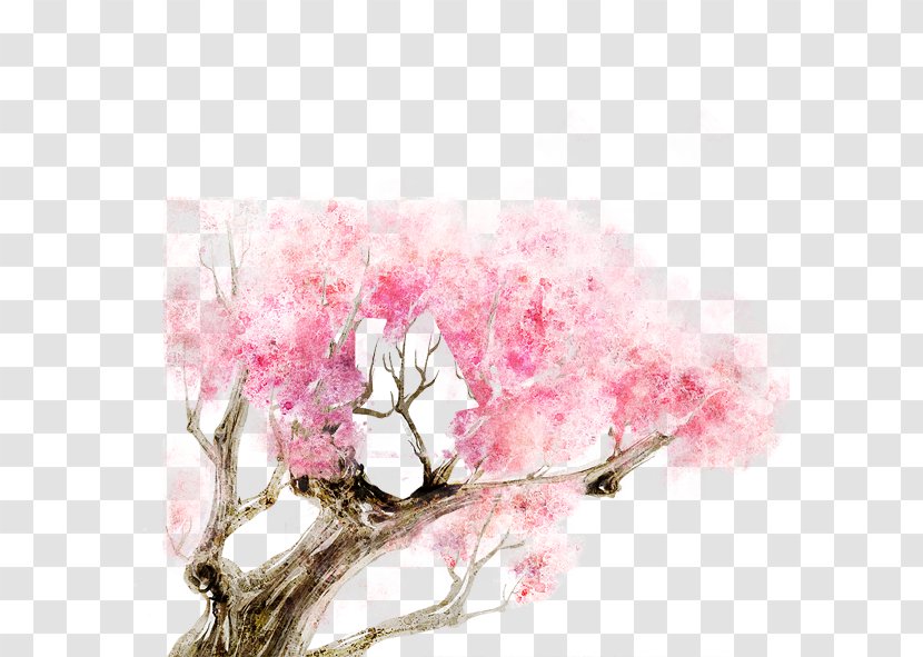 Cherry Blossom - Watercolor Painting - Ink Transparent PNG