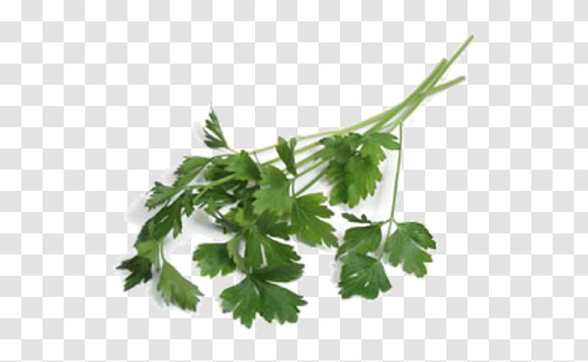 Parsley Tabbouleh Vegetable Salad FoodWorks Griffith - Leaf - Hamburg Flat Transparent PNG