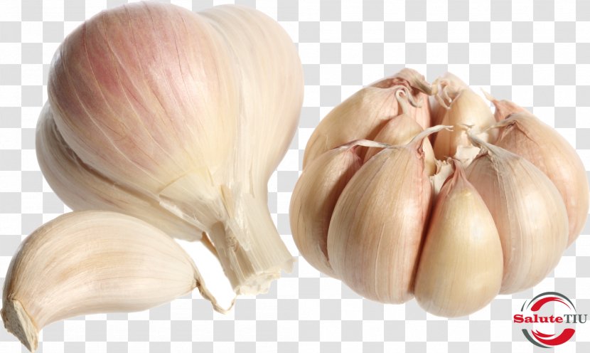 Garlic Bread Clove Pesto Shallot - Scallion Transparent PNG