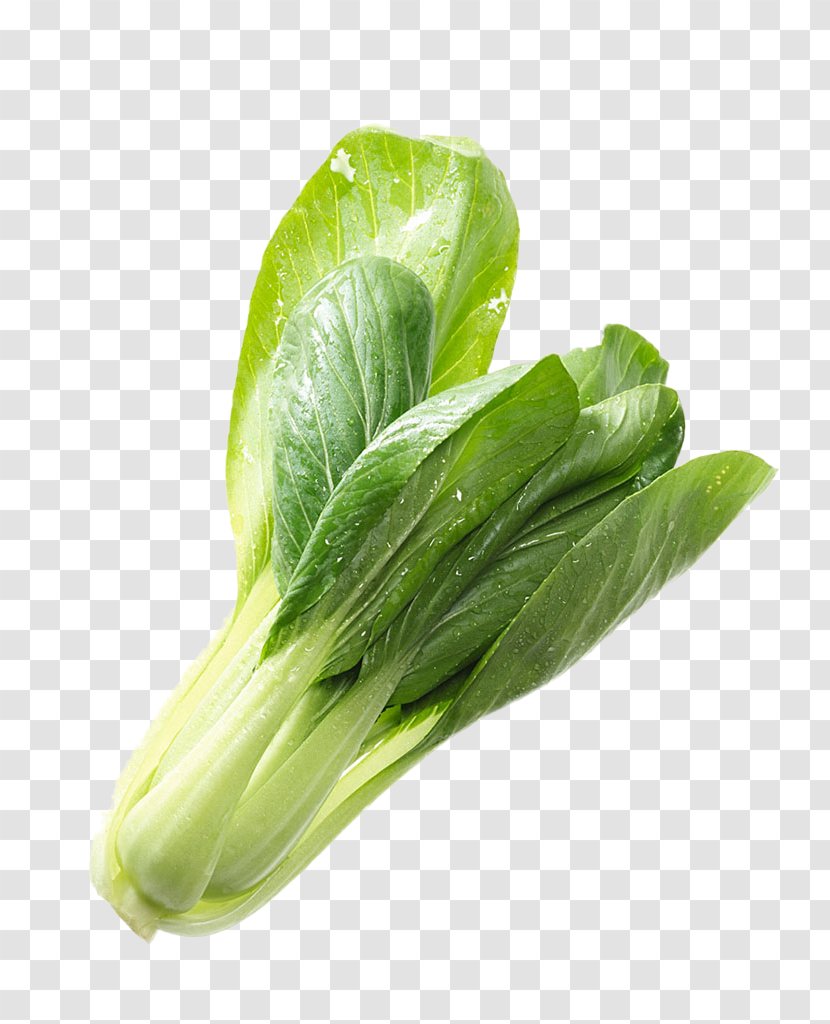 Romaine Lettuce Choy Sum Vegetable Napa Cabbage Chinese - Products In Kind Transparent PNG