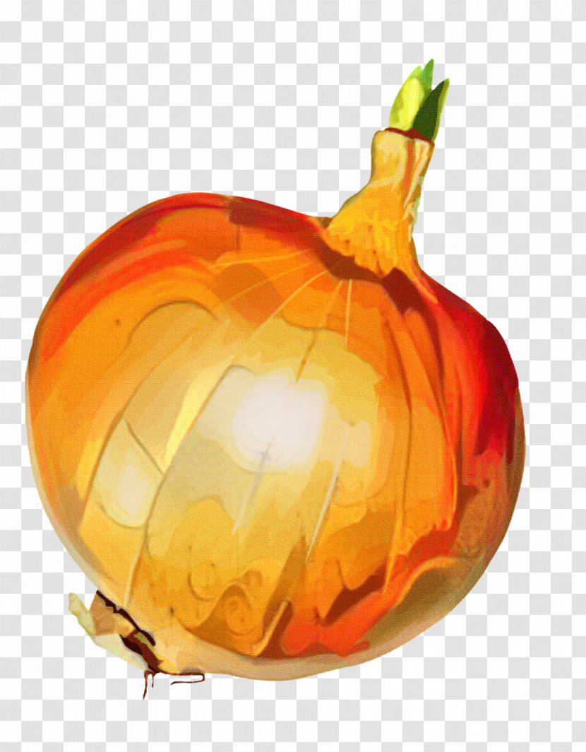 Pumpkin Calabaza Winter Squash Gourd Transparent PNG