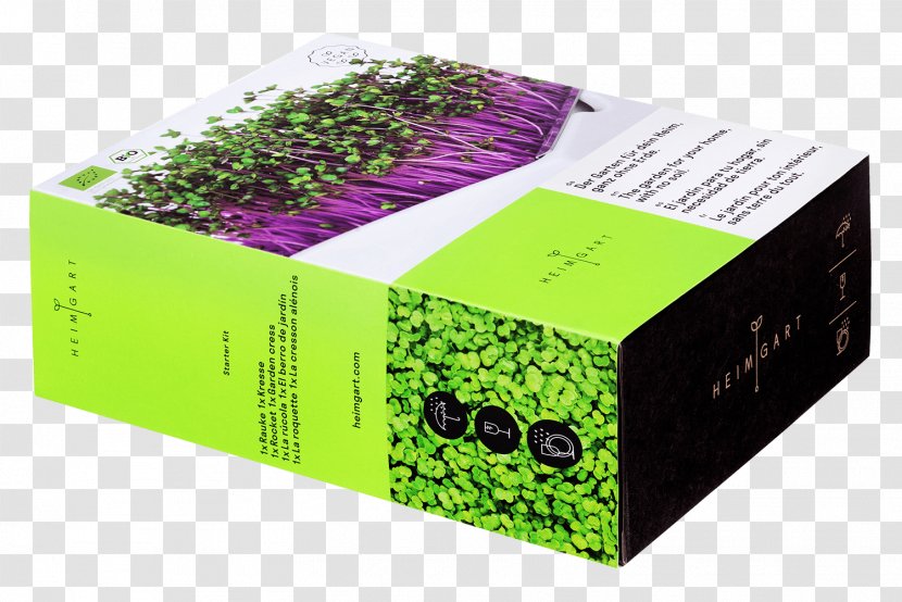 Brand Plant - Box - Design Transparent PNG