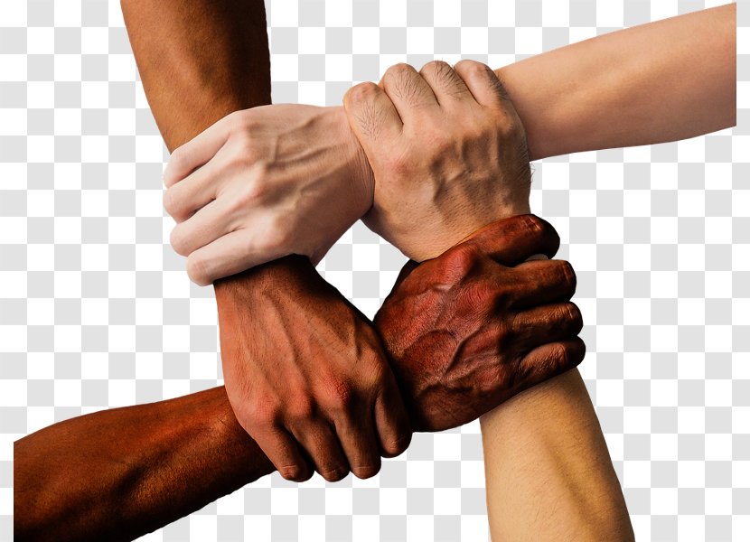 Diversity Organization Racism Multiculturalism Culture - Wrist - Shoulder Transparent PNG