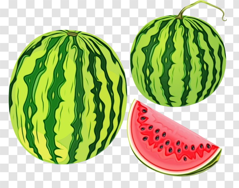 Drawing Of Family - Citrullus - Superfood Muskmelon Transparent PNG