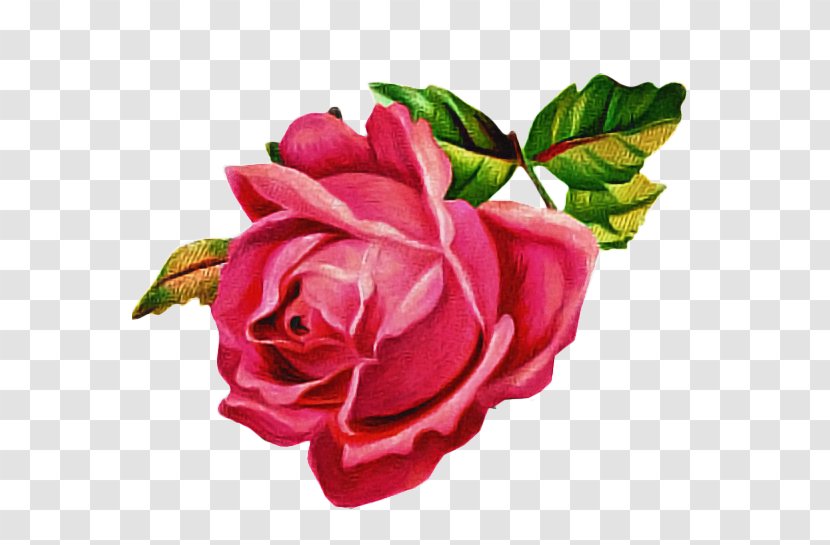 Floral Design - Hybrid Tea Rose - Bouquet Bud Transparent PNG