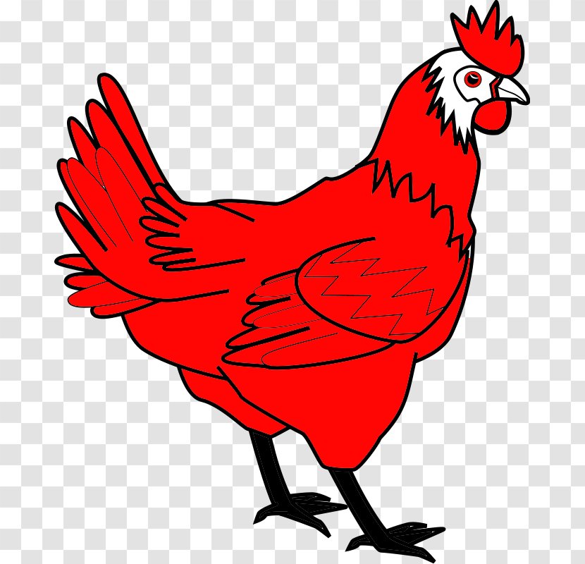 Bird Line Drawing - Dorking Chicken - Fowl Tail Transparent PNG