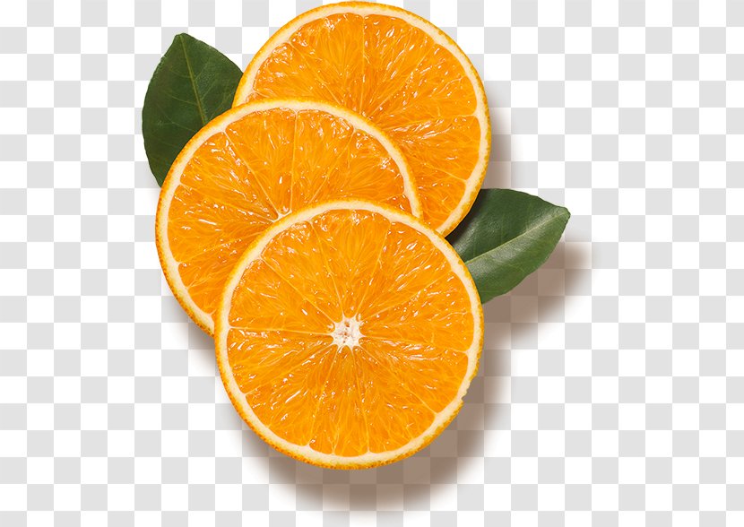 Orange Juice Lake Wales Bitter Tangerine - Sunkist Transparent PNG