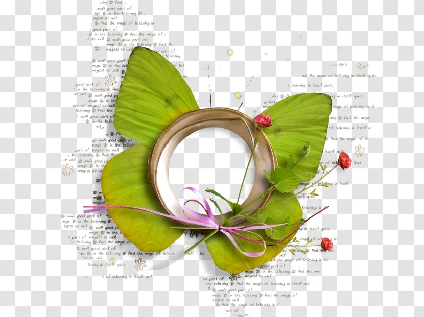 Butterfly Facebook Birthday Transparent PNG