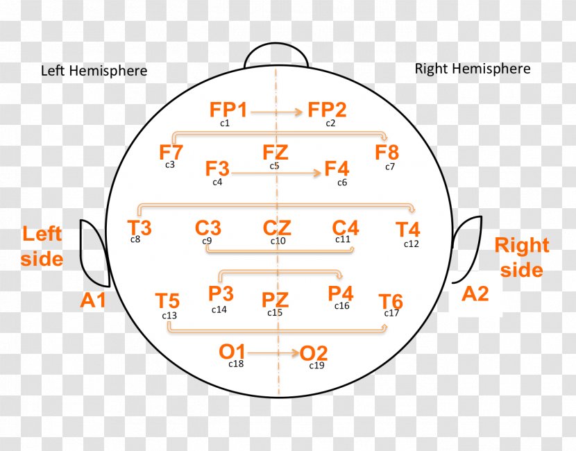 Battement Binaural Beat Frequency Brain Perception - Ear - Science Photosensitive Effect Transparent PNG