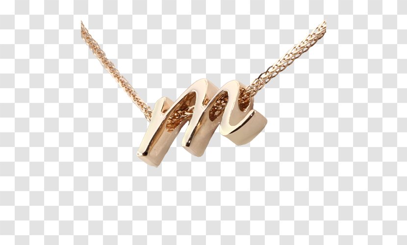 Charms & Pendants Jewellery Necklace Gold Chain - Fashion Accessory Transparent PNG