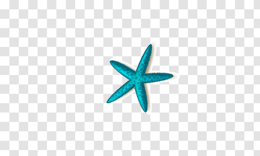 Chimelong Ocean Kingdom Starfish Zhuhai - Turquoise Transparent PNG