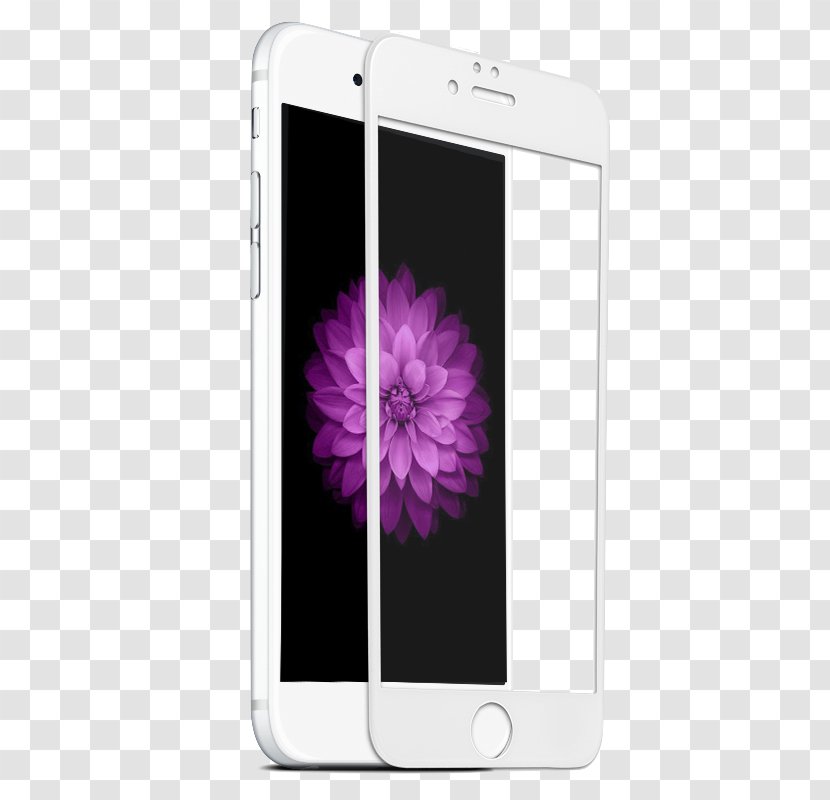 Apple IPhone 7 Plus 8 5 6 Screen Protectors - Purple - Glass Transparent PNG