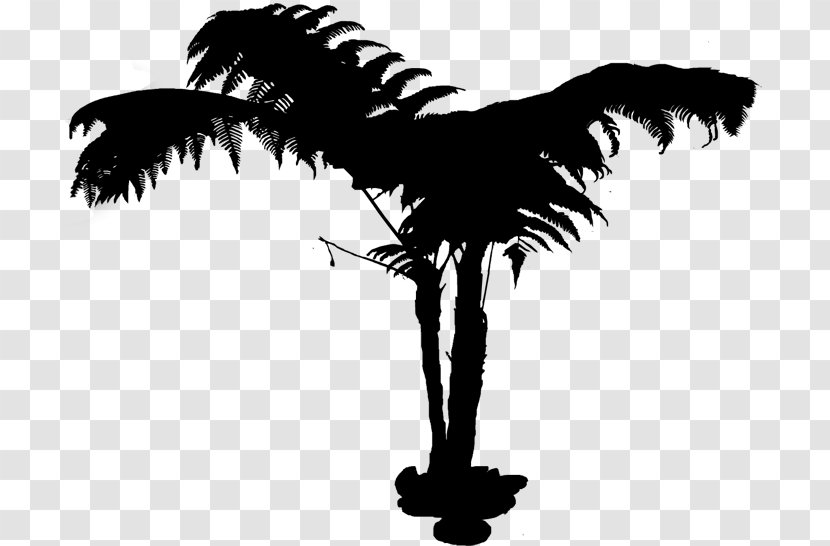 Palm Tree Silhouette - Trees - Plant Woody Transparent PNG