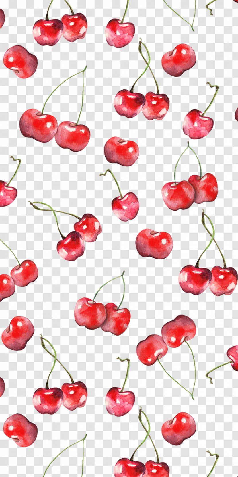 Cherries Pattern Design T-shirt Wallpaper - Cherry - Pineapple Drawing Fruits Transparent PNG