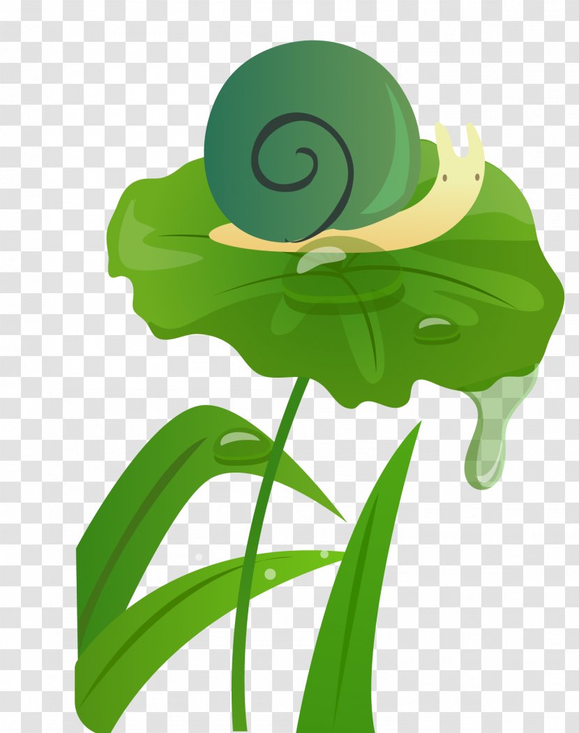 Leaf Rain Illustration - Green - Vector Creative Snail Transparent PNG