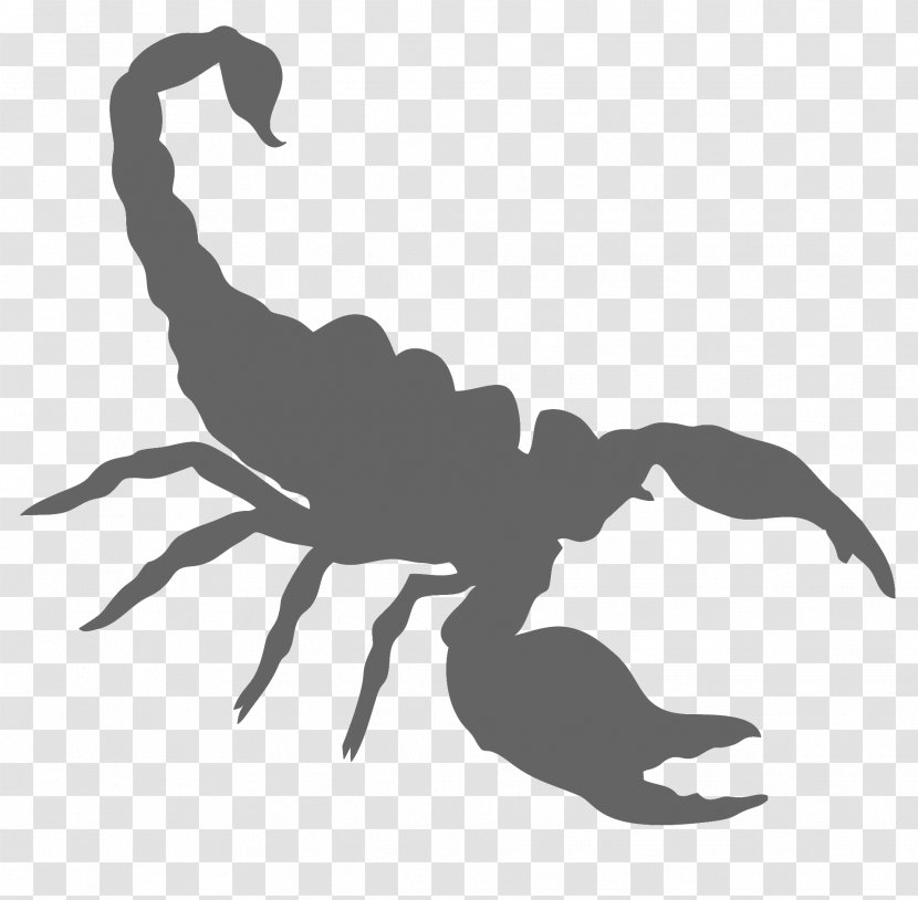 Scorpion Clip Art Transparent PNG