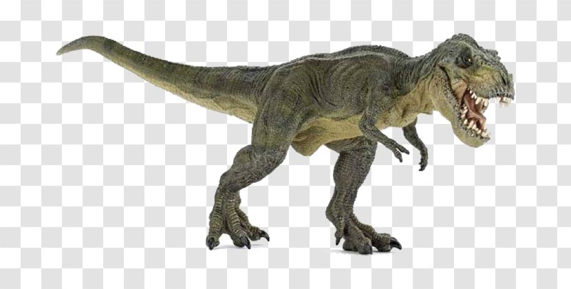 Tyrannosaurus Spinosaurus Triceratops Velociraptor Dinosaur Transparent PNG