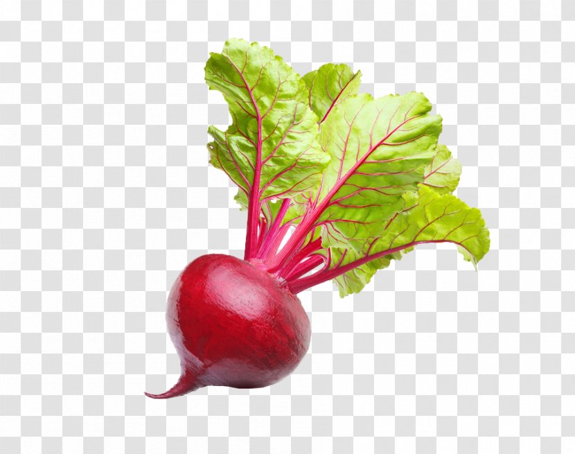 Vegetarian Cuisine Beetroot Vegetable Chard Organic Food Transparent PNG