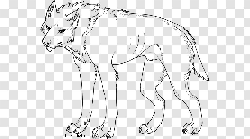Line Art Gray Wolf Dire Drawing Sketch - Black And White - Painting Transparent PNG