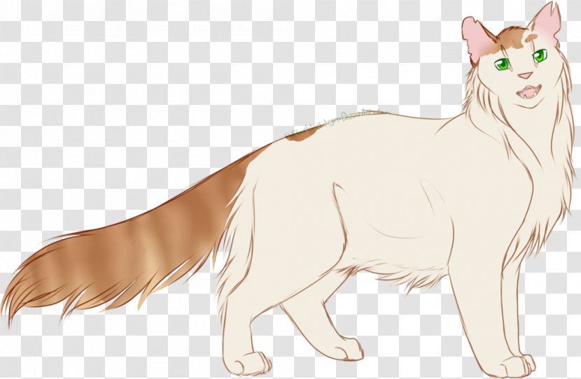 Whiskers Cat Dog Breed Red Fox - Cartoon Transparent PNG