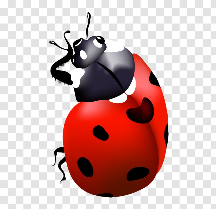 Red Clip Art - Beetle - Insect Pattern Transparent PNG