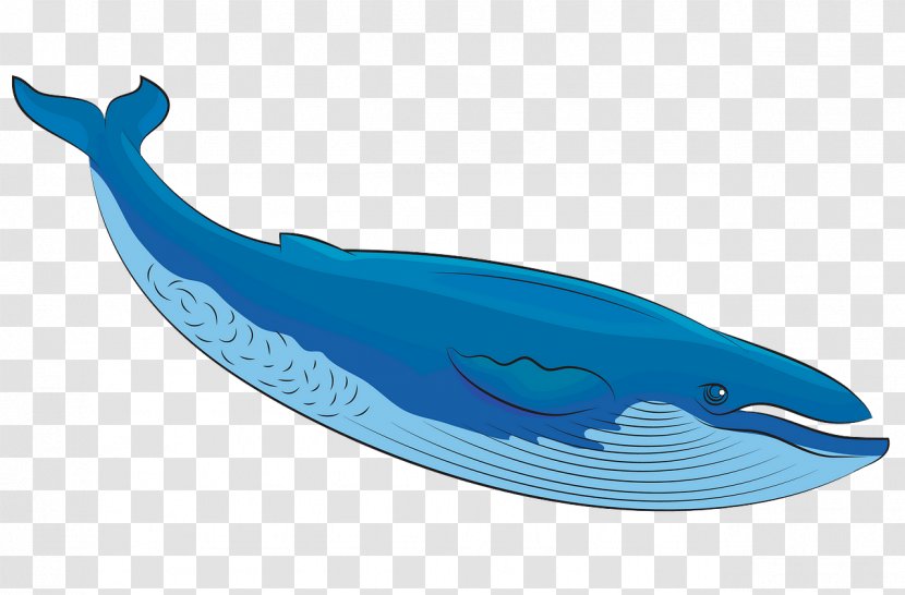 Cetacea Whale Blue Dolphin Animal Figure - Humpback Fin Transparent PNG