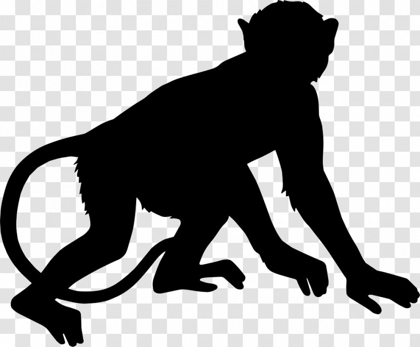 Primate Monkey Clip Art - Carnivoran - Orangutan Transparent PNG