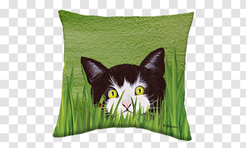 Whiskers Throw Pillows Cushion Textile - Pillow Transparent PNG