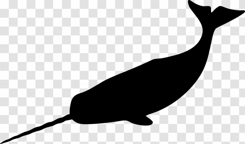 Narwhal Silhouette Whale Clip Art - Black - Rib Clipart Transparent PNG