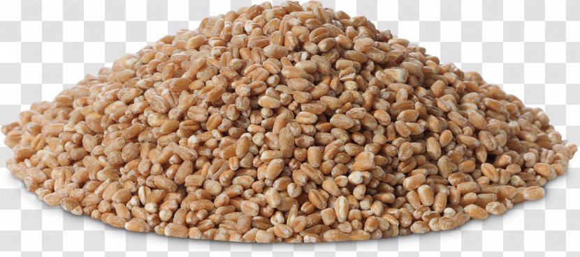 Cereal Germ Whole Grain Embryo Grasses - Commodity - Millet Grain. Transparent PNG