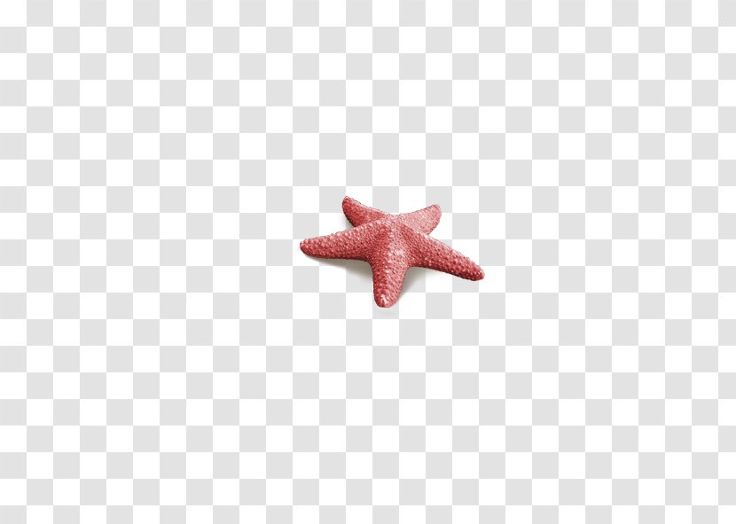 Starfish Pattern - Red Transparent PNG