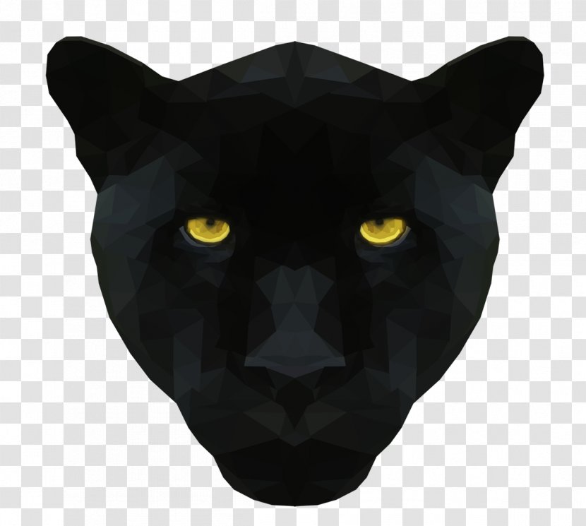 Black Cat Whiskers Snout Puma - M Transparent PNG