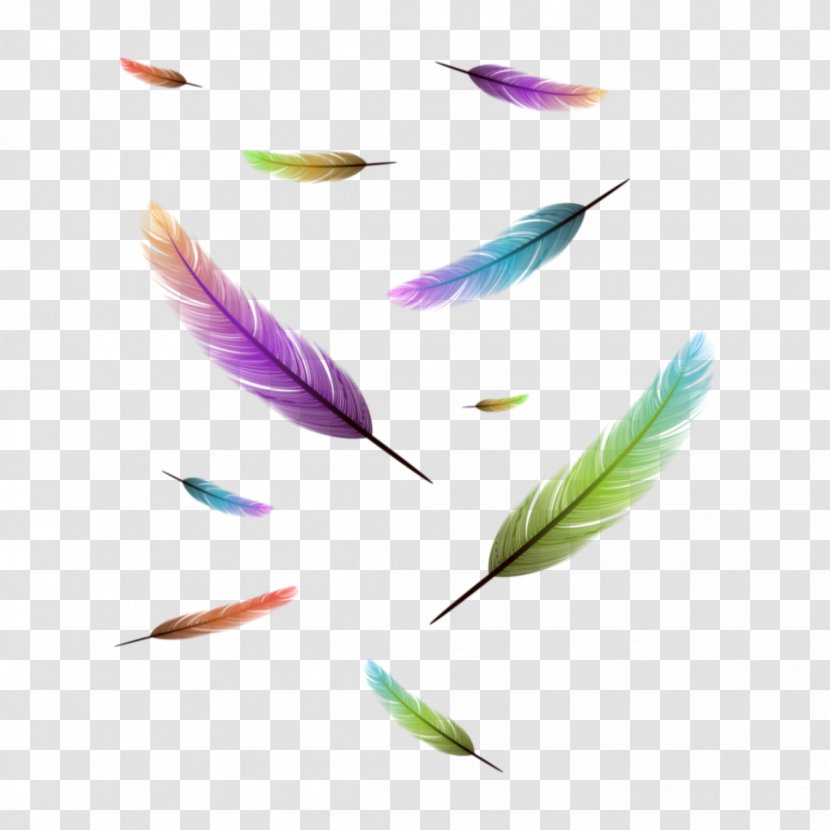 Feather Drawing Clip Art - Stock Photography Transparent PNG