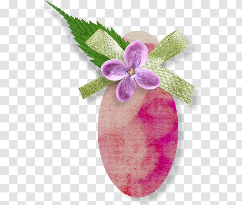 Paper Centerblog Clip Art - Pink - Floral Flower Pattern Transparent PNG