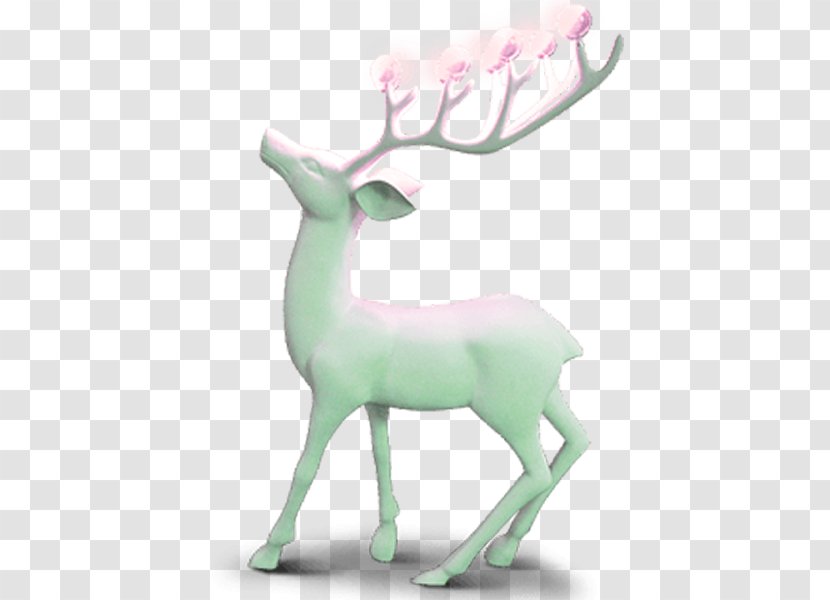 Red Deer - Vertebrate - Pink Transparent PNG