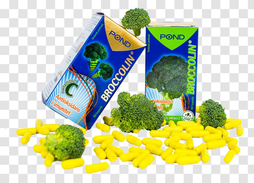 Broccoli Superfood Vegetarian Cuisine Beta-glucan - Sea Transparent PNG