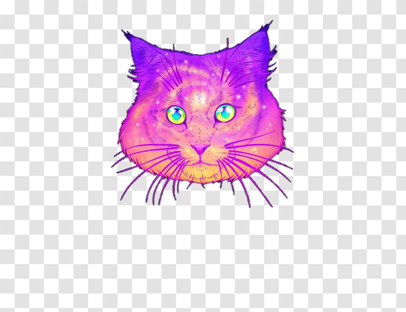 Devon Rex Persian Cat Sphynx Image Painting Transparent PNG