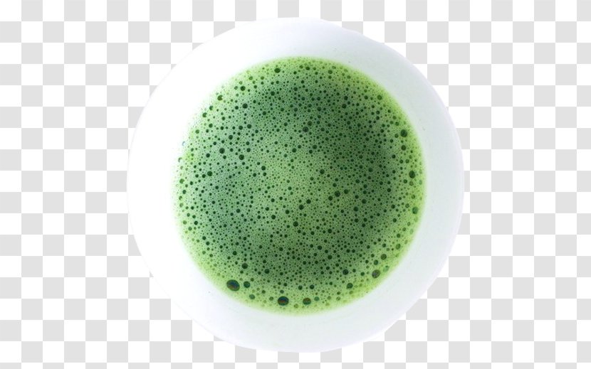 Matcha Green Tea Latte Drink - Powder Transparent PNG