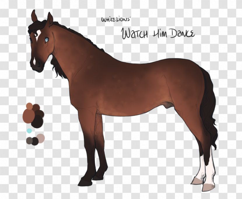 Mare Stallion Arabian Horse Colt Mustang - Rein Transparent PNG