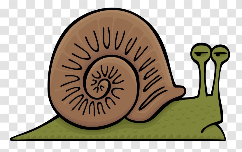 Snail Gastropods Slug Clip Art - Cartoon Transparent PNG