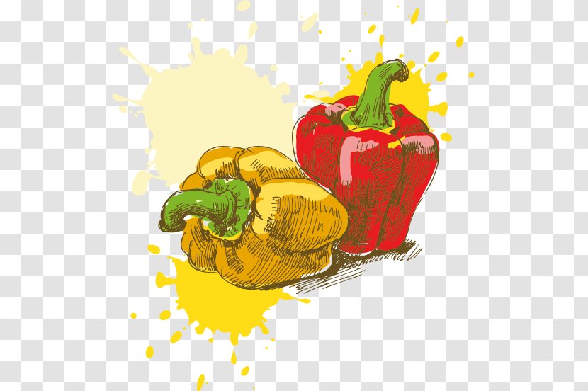 Breakfast Food Drawing Painting - Diet - Vector Painted Pepper Transparent PNG