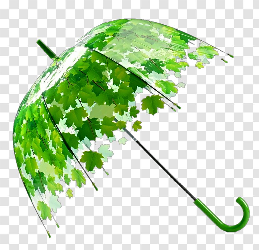 Umbrella Design Bag Sun Protective Clothing Product Transparent PNG