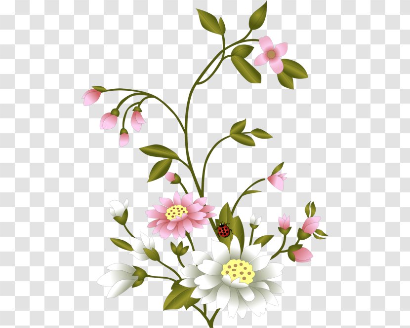 Floral Design Flower Transparent PNG