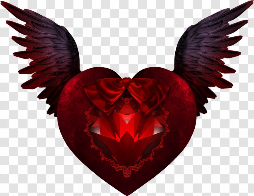 Devil Wing Heart - Flower - Wings Transparent PNG