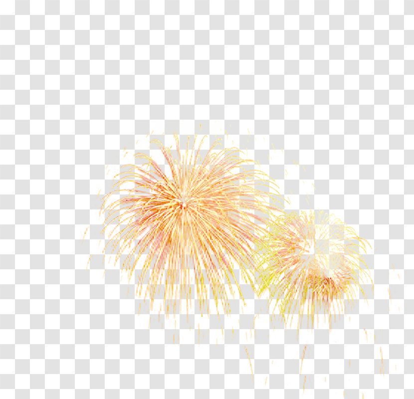 Fireworks Download - Holiday Transparent PNG